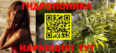 ECSTASY Лесосибирск