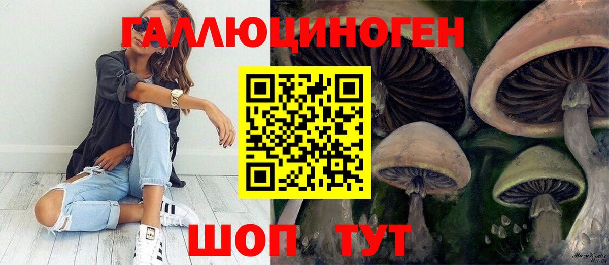 Галлюциногенные грибы мицелий  Галлюциногенные грибы GOLDEN TEACHER  наркотики  Вход с VPN  Знаменск 