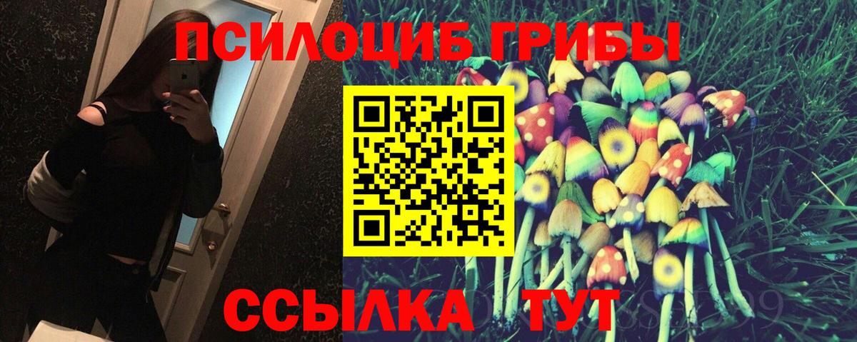 Галлюциногенные грибы GOLDEN TEACHER Знаменск